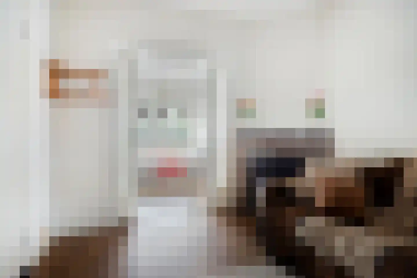 Korianderstraat 103 Eindhoven thumbnail 12