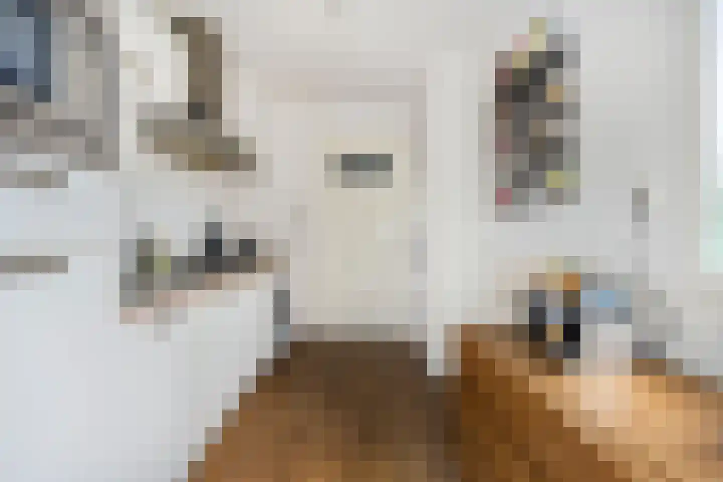 Korianderstraat 103 Eindhoven thumbnail 15
