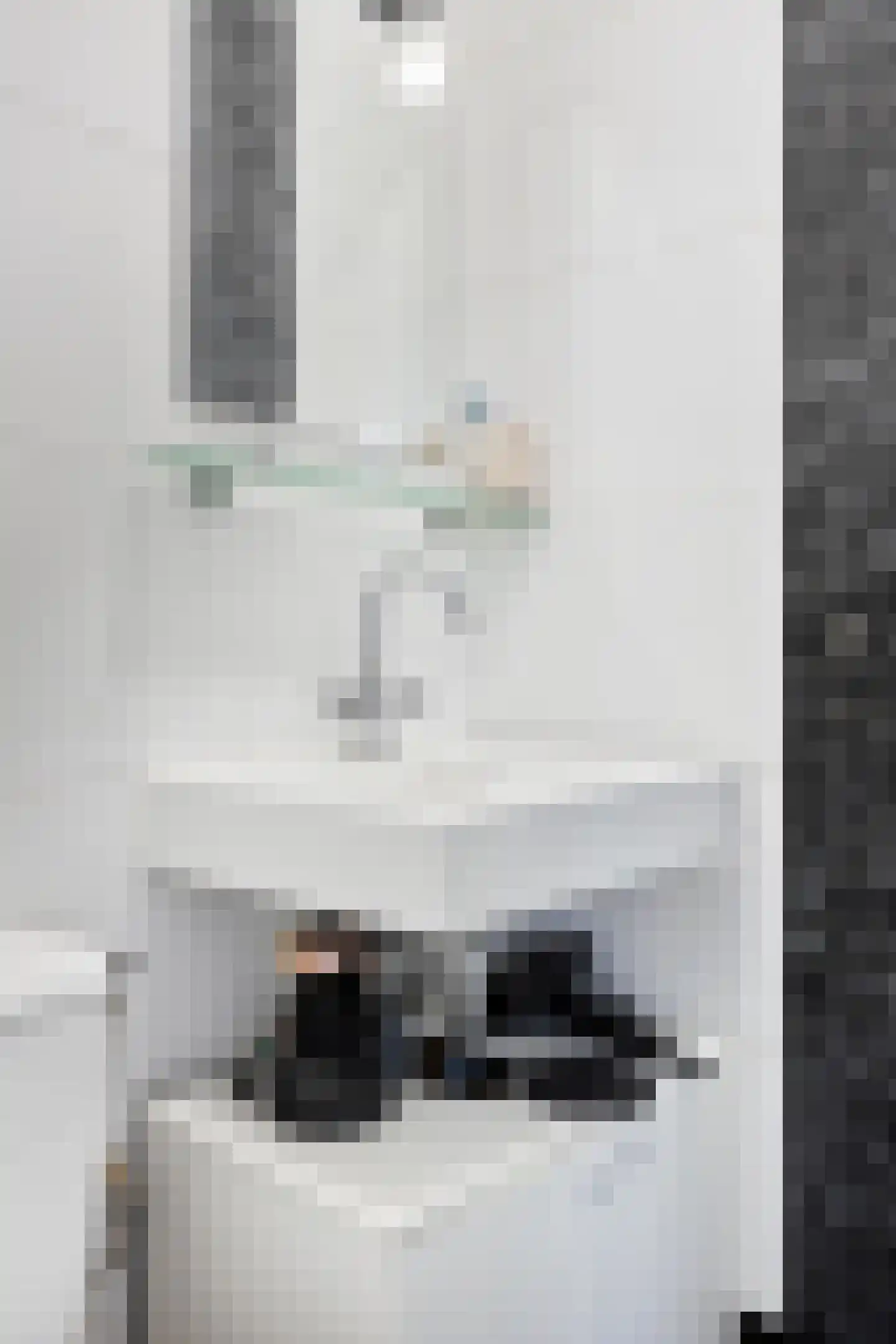 Korianderstraat 103 Eindhoven thumbnail 17