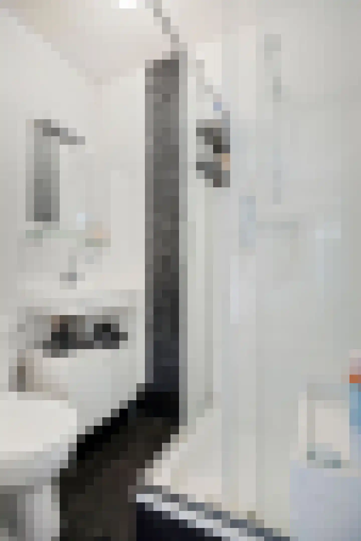 Korianderstraat 103 Eindhoven thumbnail 18