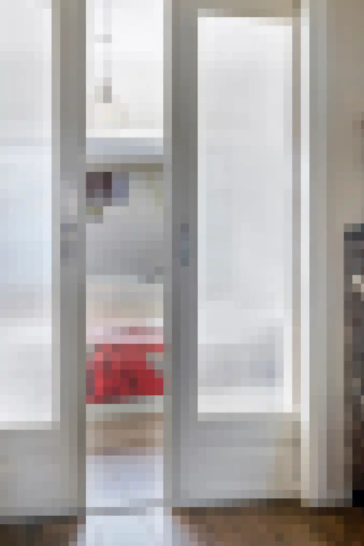 Korianderstraat 103 Eindhoven thumbnail 19