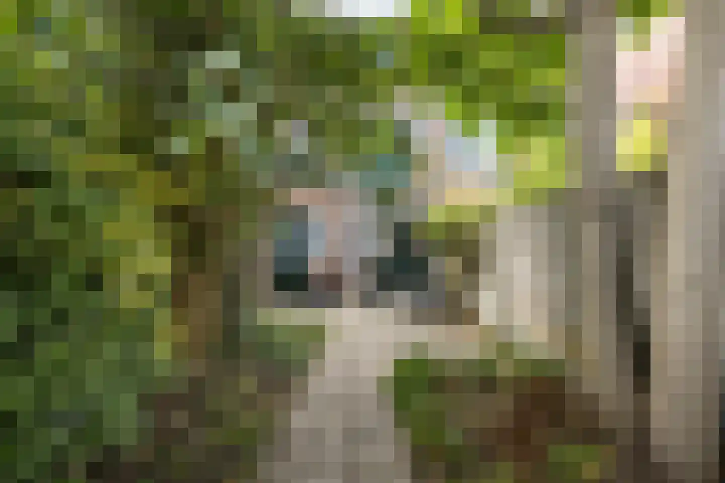 Korianderstraat 103 Eindhoven thumbnail 22