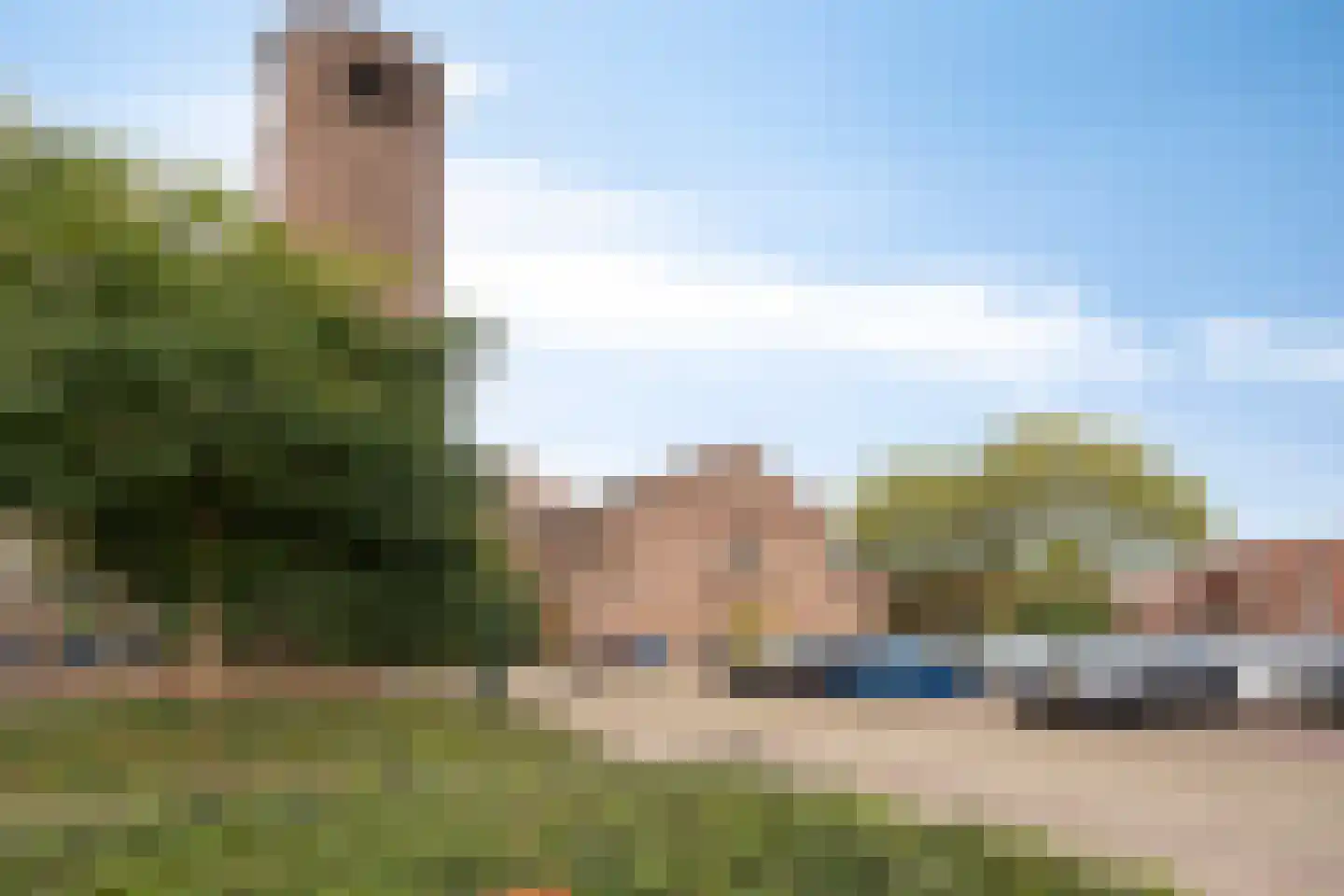 Korianderstraat 103 Eindhoven thumbnail 24
