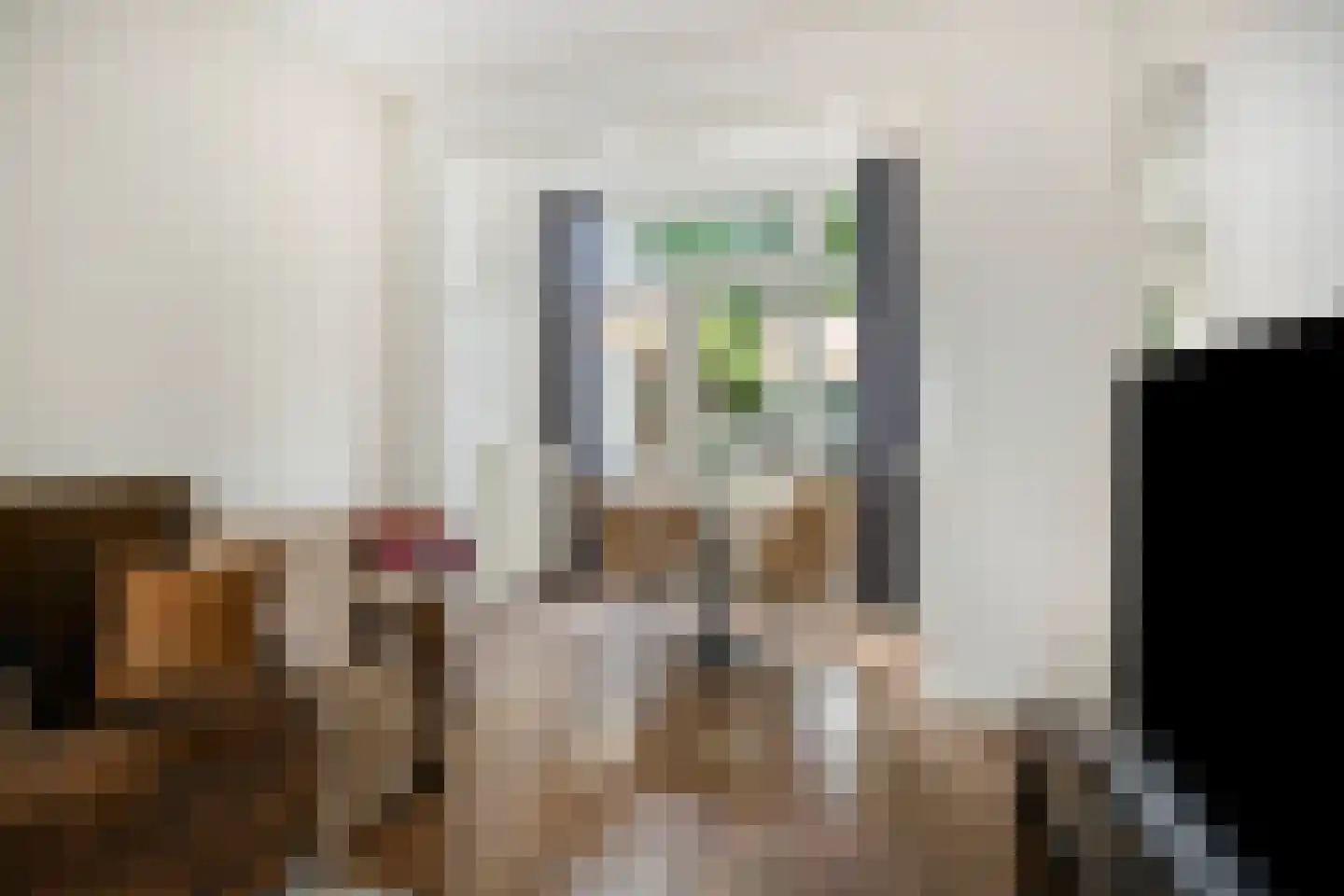 Korianderstraat 103 Eindhoven thumbnail 4