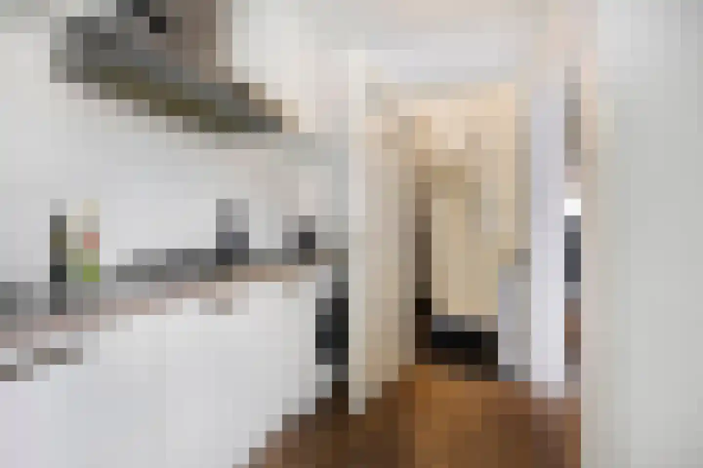 Korianderstraat 103 Eindhoven thumbnail 5