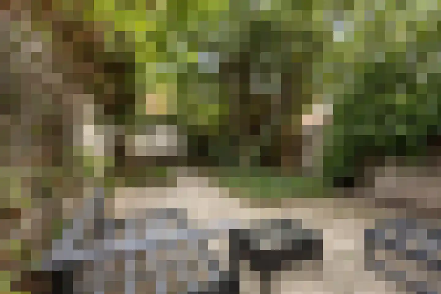 Korianderstraat 103 Eindhoven thumbnail 6