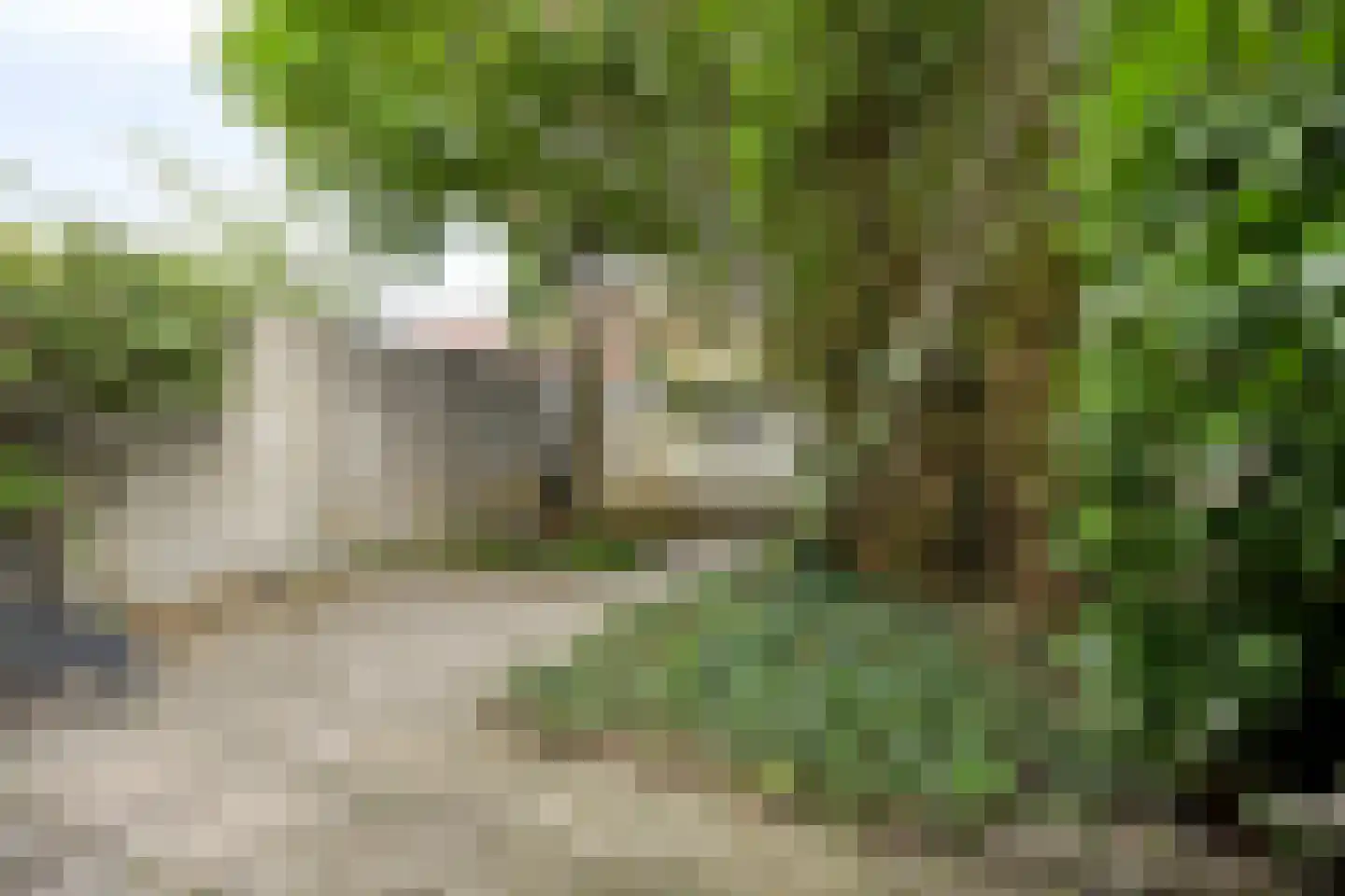 Korianderstraat 103 Eindhoven thumbnail 7