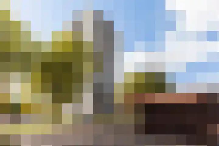 Korianderstraat 114 Apeldoorn thumbnail 34