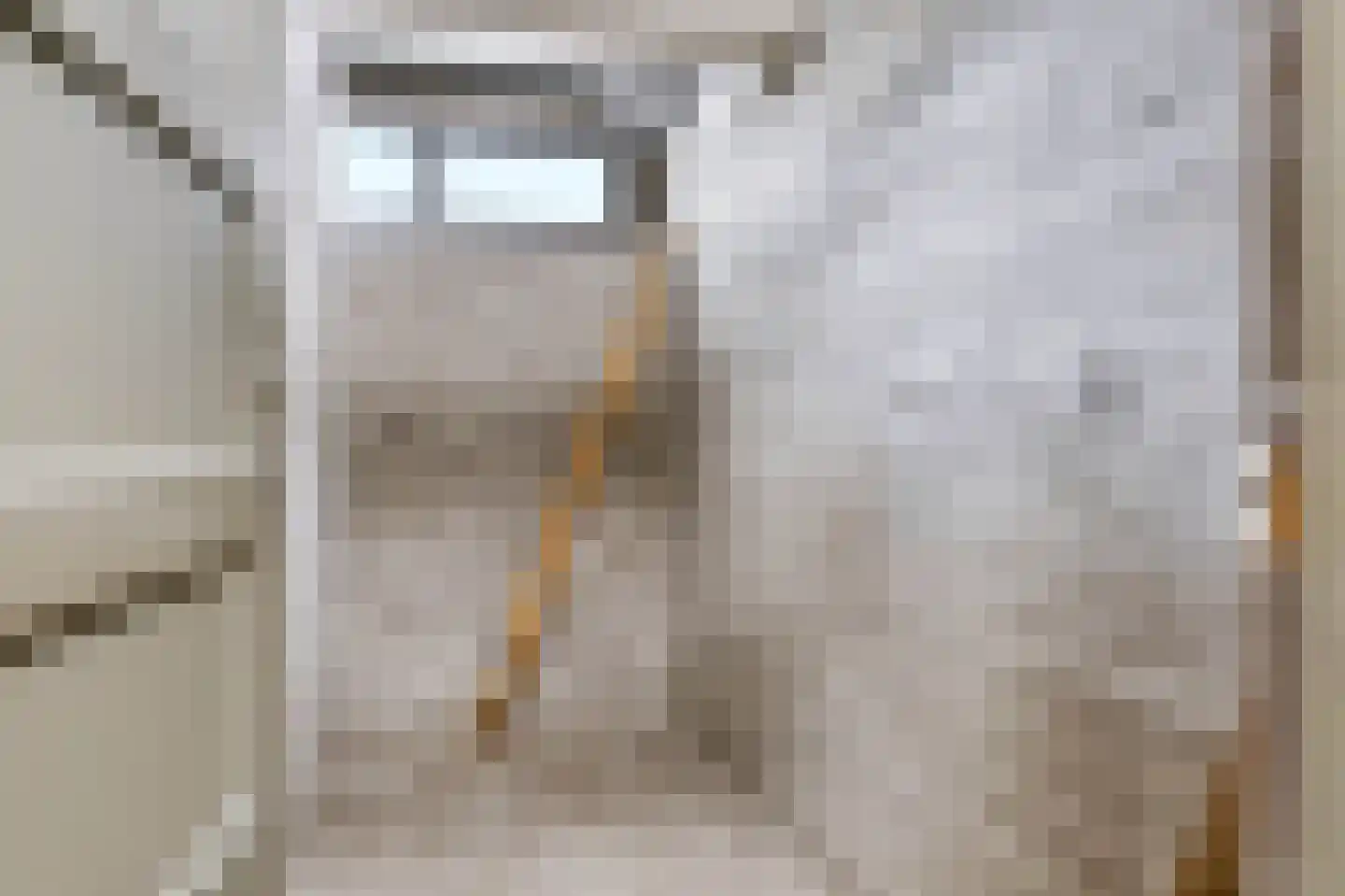Korianderstraat 118 Apeldoorn thumbnail 32