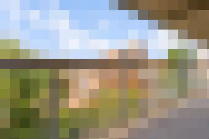 Korianderstraat 126 Utrecht thumbnail 8