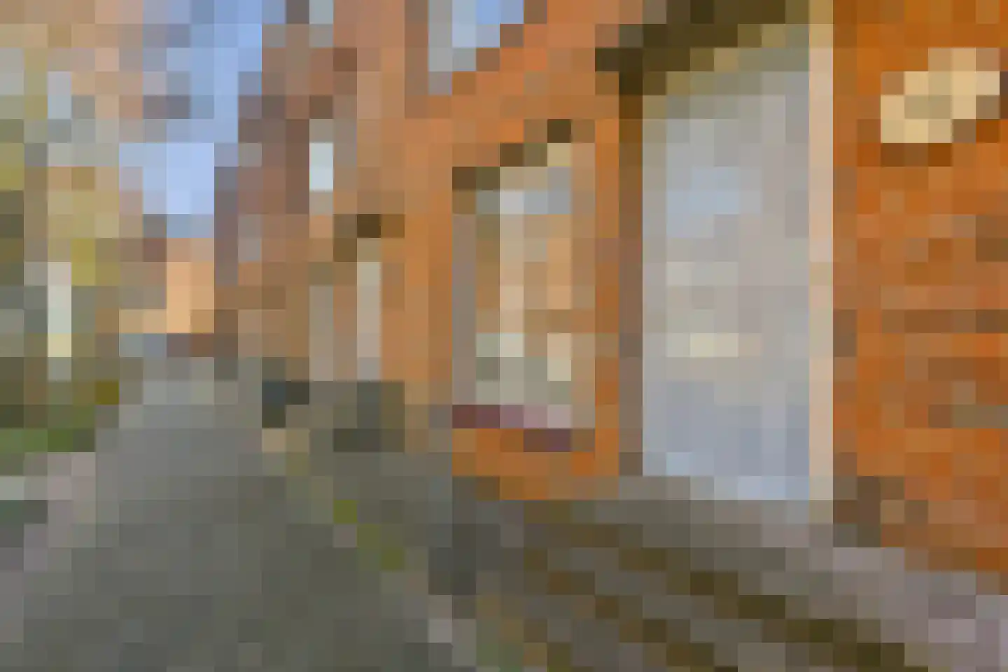 Korianderstraat 13 Amsterdam thumbnail 29