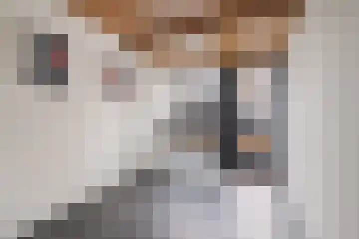 Korianderstraat 132 Utrecht thumbnail 46