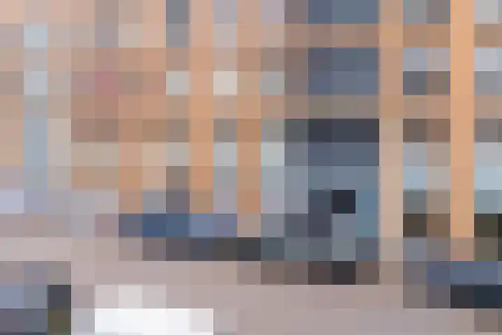 Korianderstraat 132 Utrecht thumbnail 48