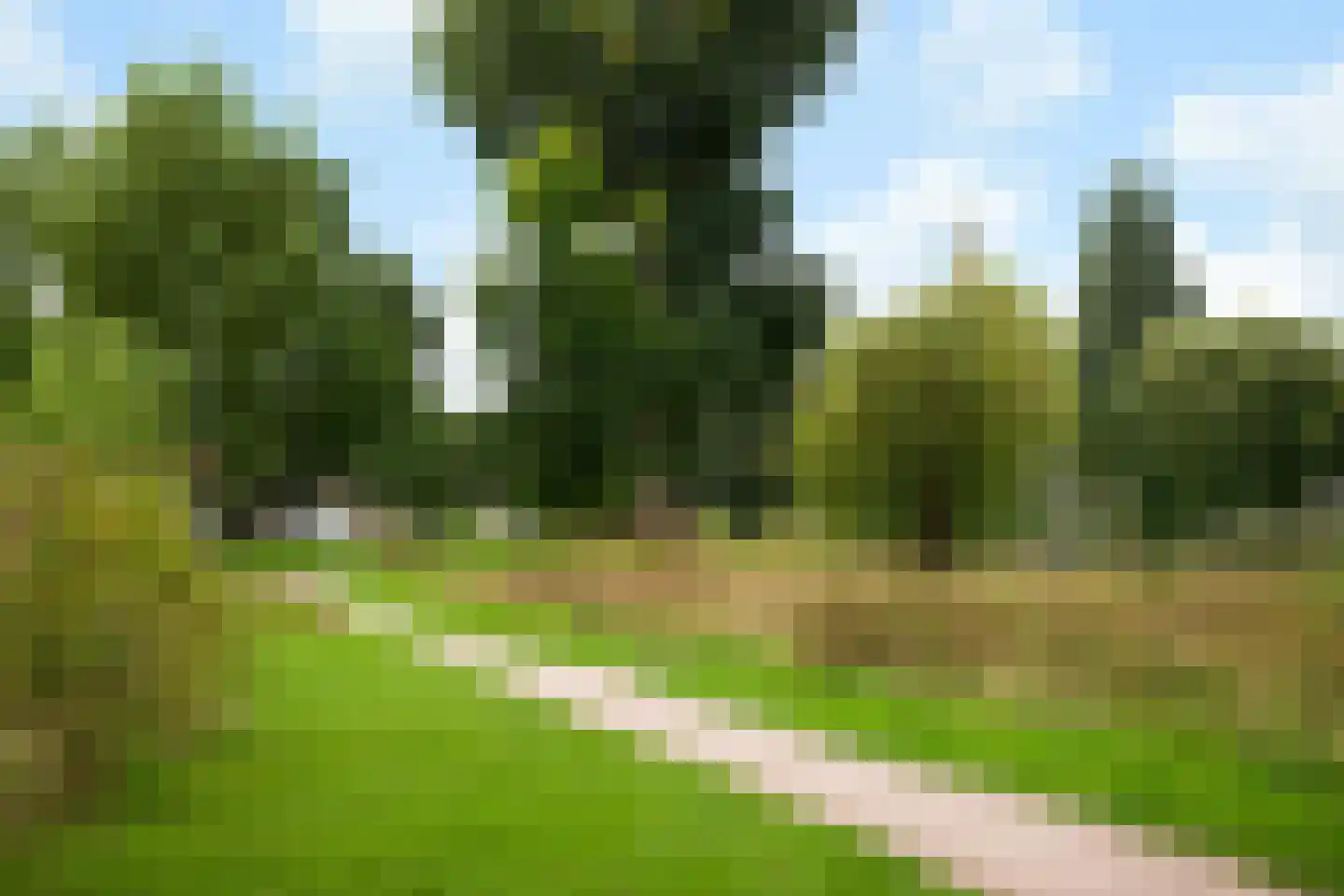 Korianderstraat 15 Arnhem thumbnail 31