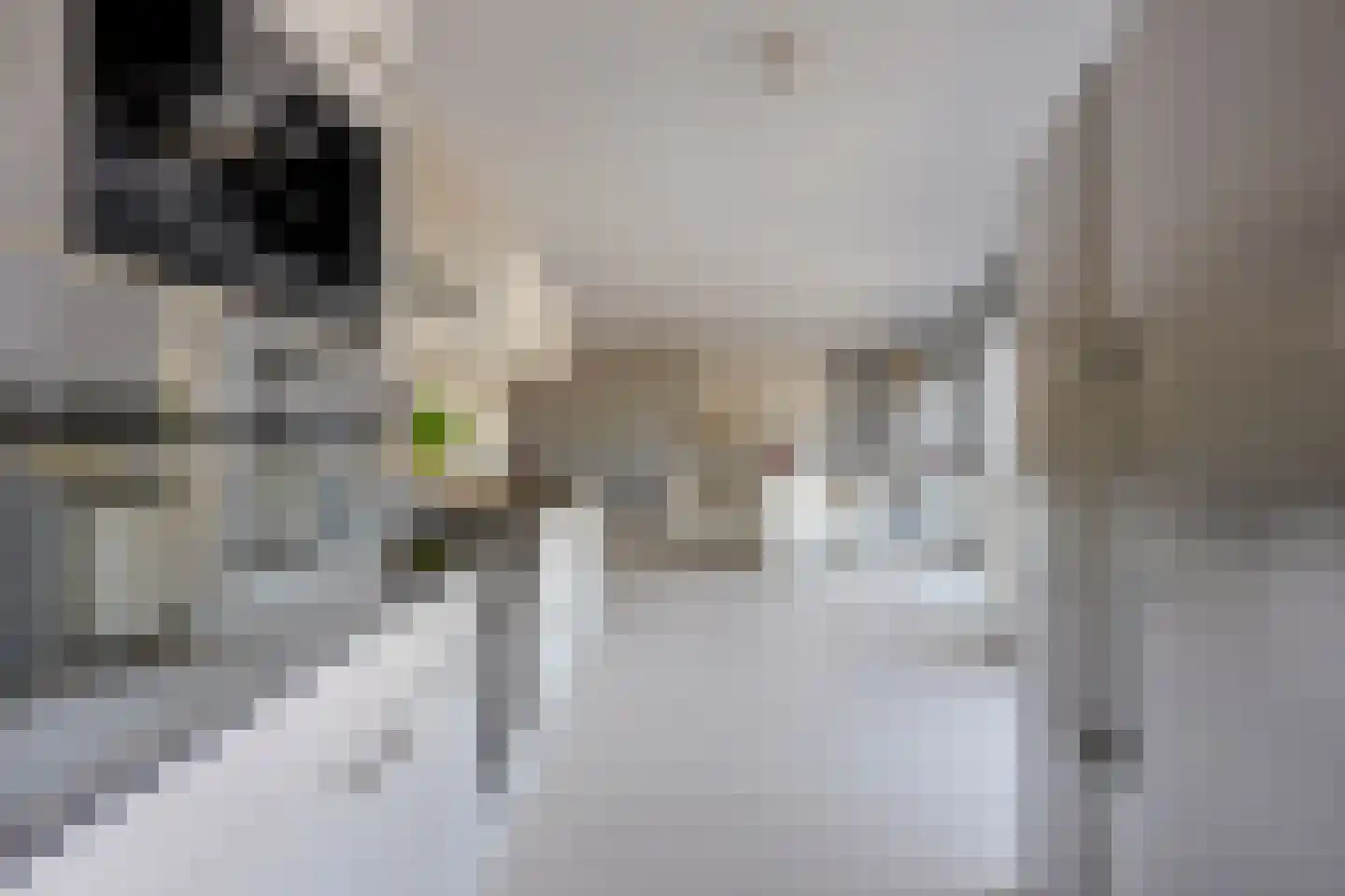 Korianderstraat 154 Utrecht thumbnail 22