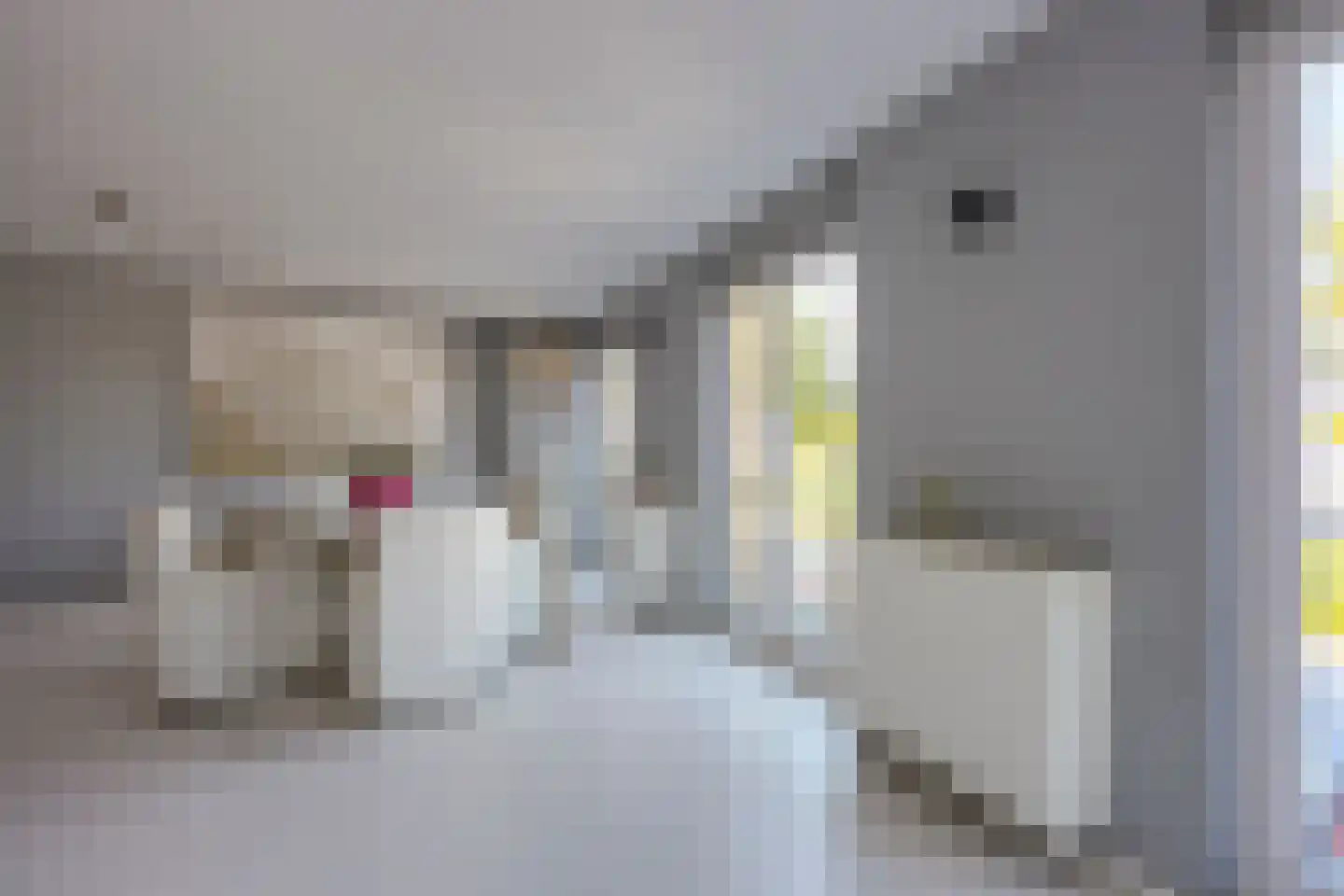 Korianderstraat 154 Utrecht thumbnail 25