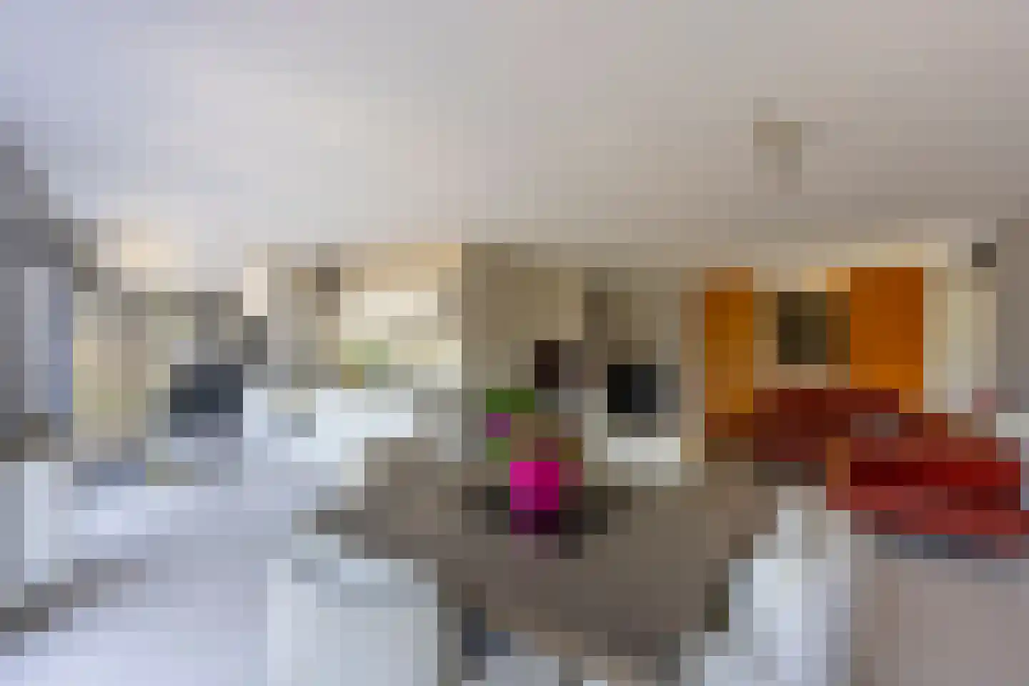 Korianderstraat 154 Utrecht thumbnail 28