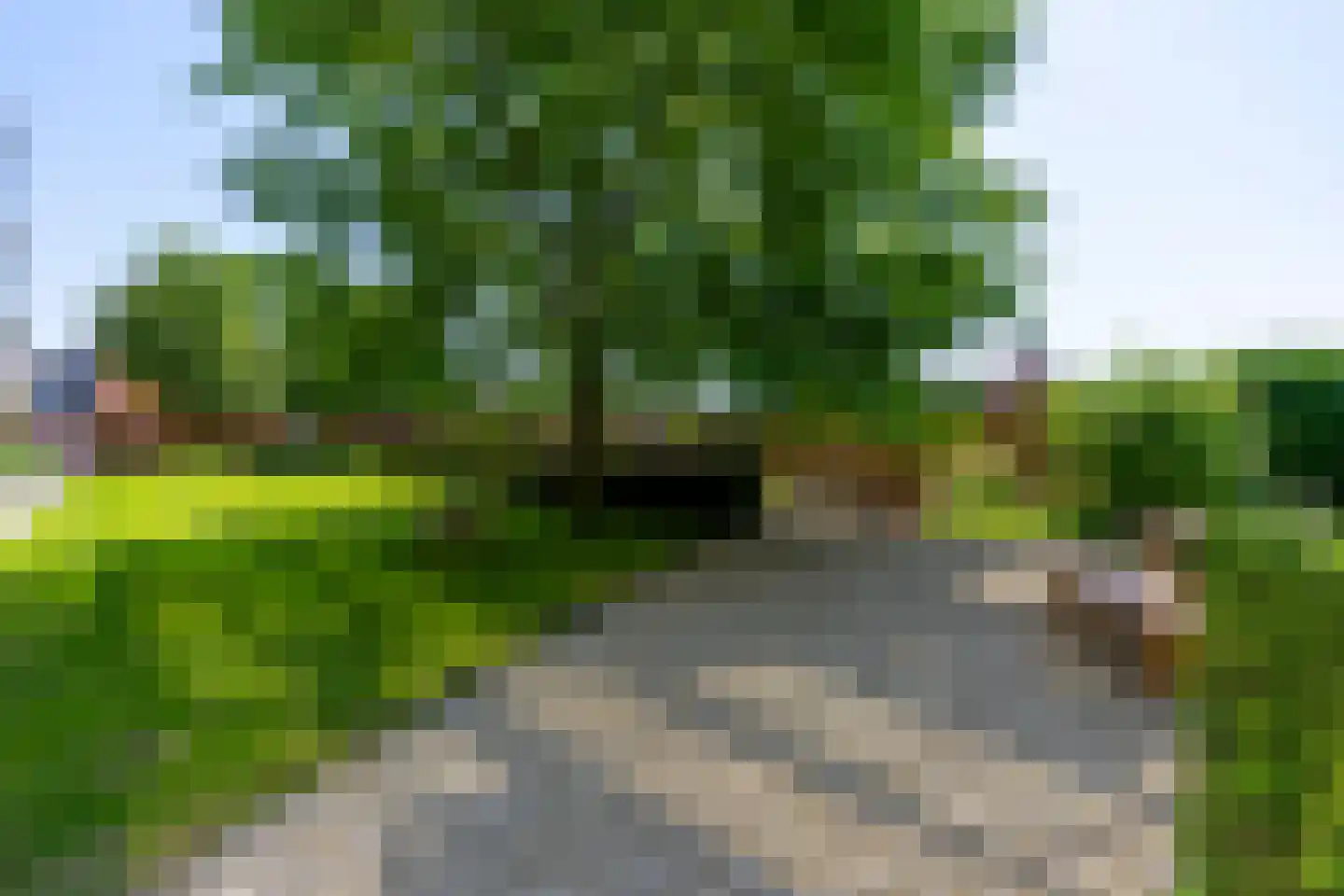 Korianderstraat 154 Utrecht thumbnail 47