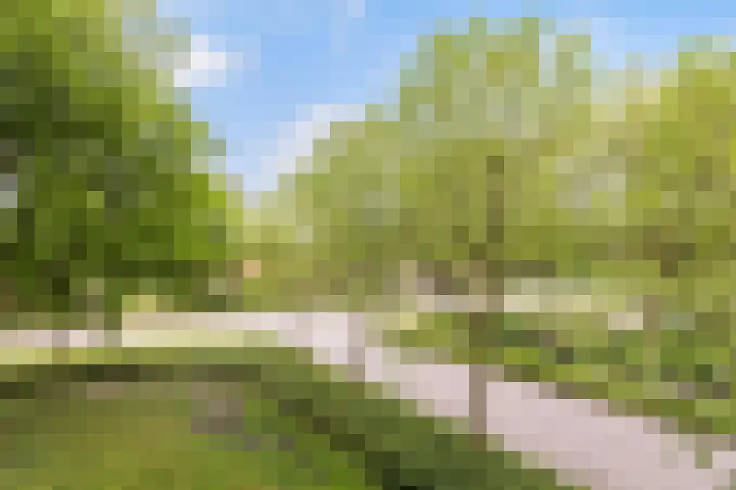 Korianderstraat 16 Apeldoorn thumbnail 19