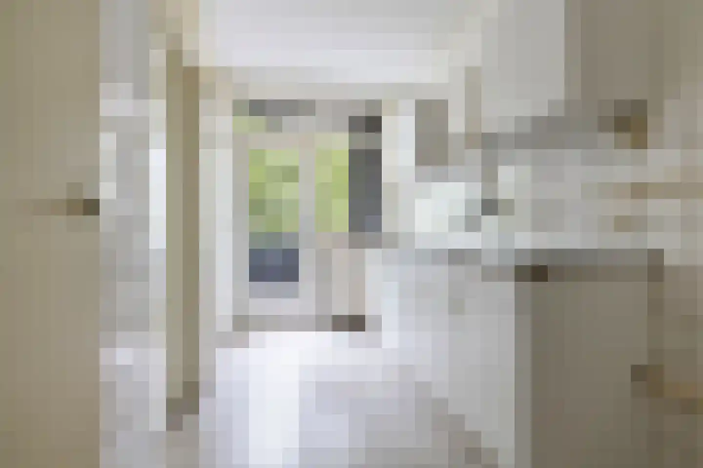 Korianderstraat 16 Apeldoorn thumbnail 22