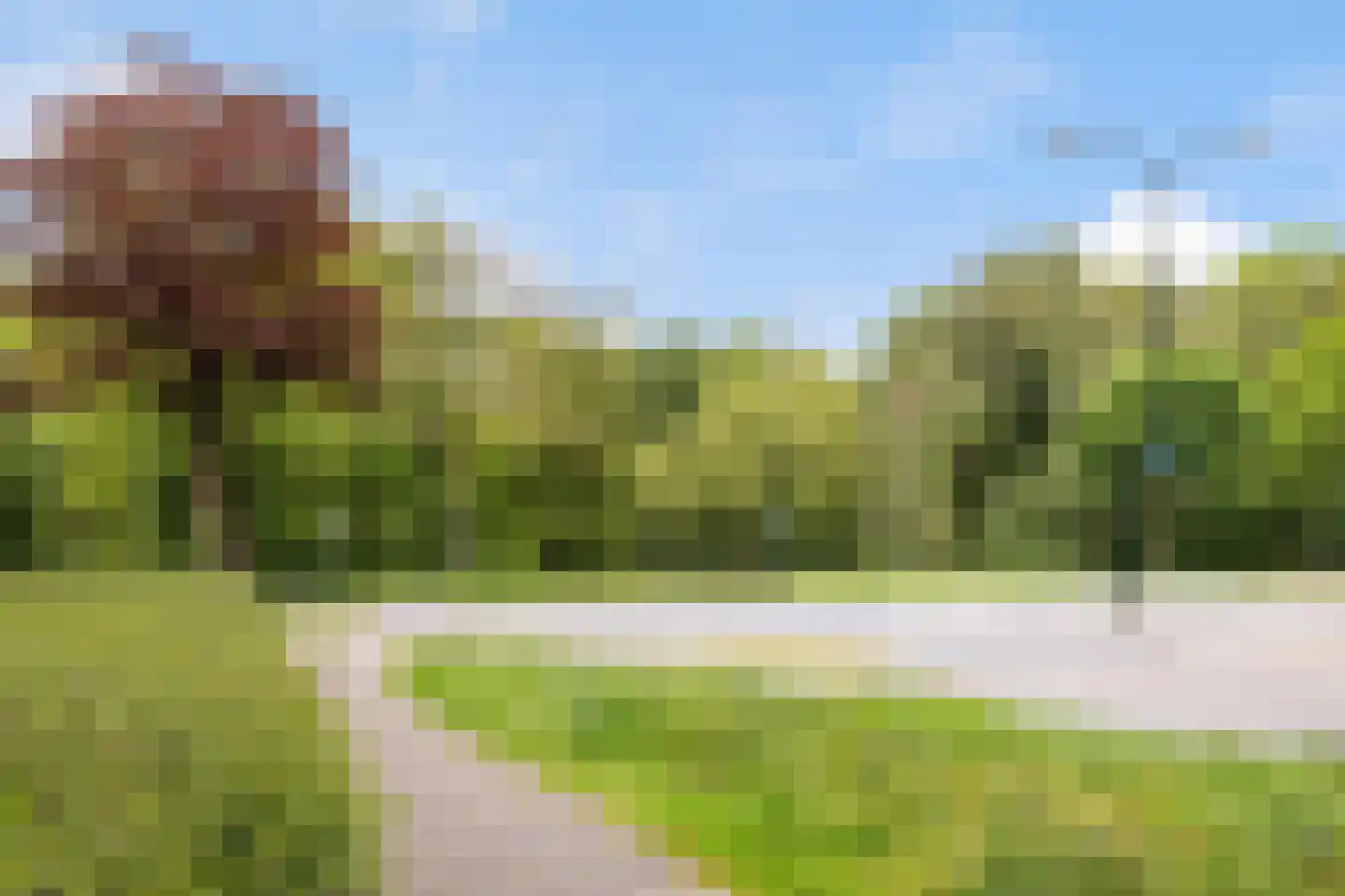 Korianderstraat 16 Apeldoorn thumbnail 32