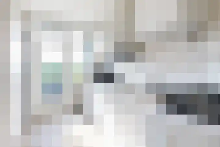 Korianderstraat 18 Apeldoorn thumbnail 10