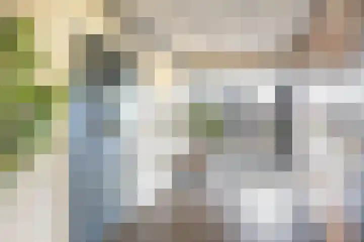 Korianderstraat 18 Apeldoorn thumbnail 20
