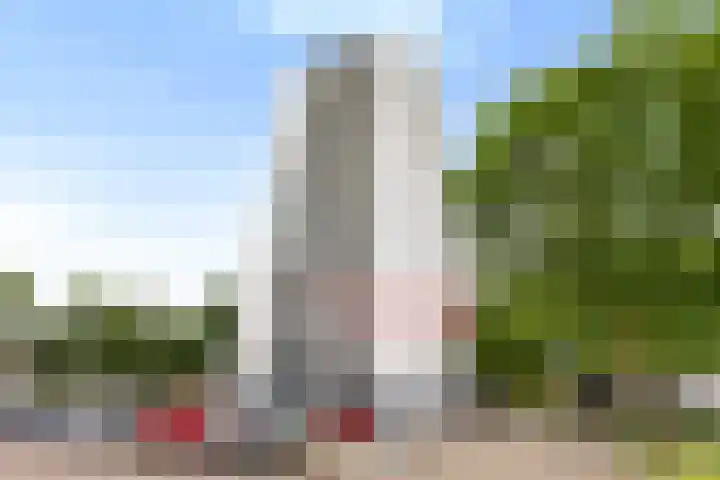 Korianderstraat 18 Apeldoorn thumbnail 25