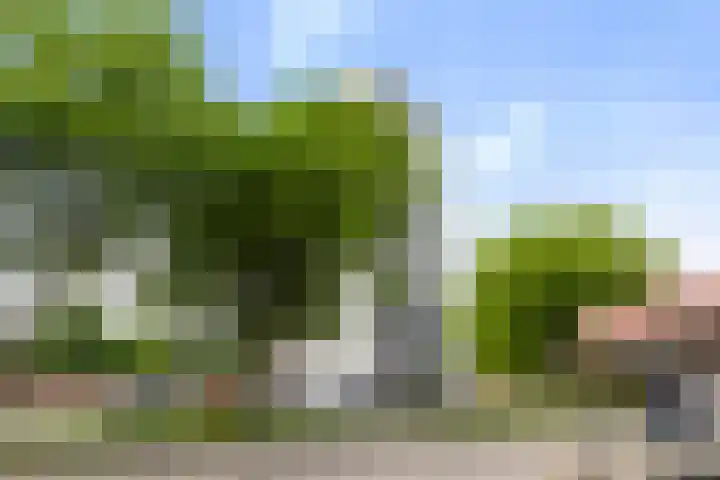 Korianderstraat 18 Apeldoorn thumbnail 26