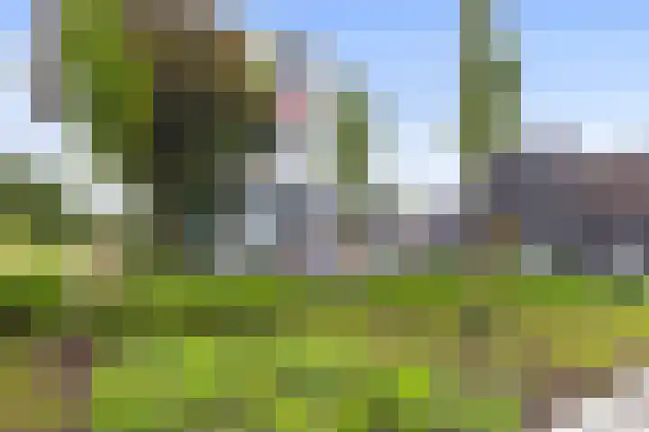 Korianderstraat 18 Apeldoorn thumbnail 29