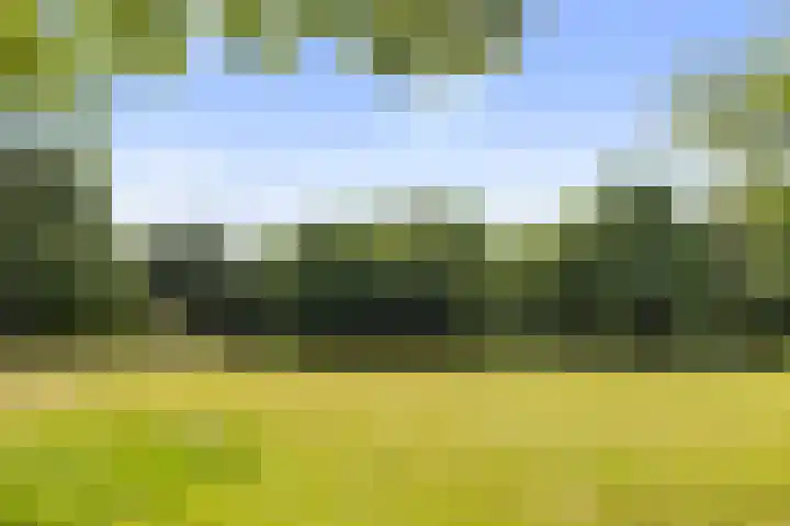 Korianderstraat 18 Apeldoorn thumbnail 31