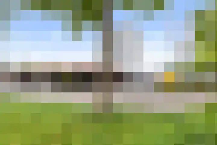 Korianderstraat 18 Apeldoorn thumbnail 34