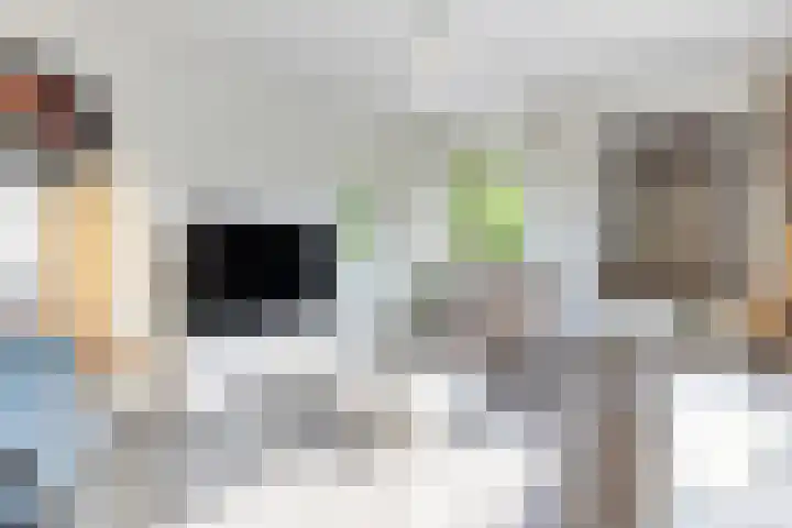 Korianderstraat 18 Apeldoorn thumbnail 4