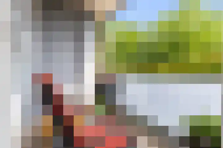 Korianderstraat 18 Apeldoorn thumbnail 5