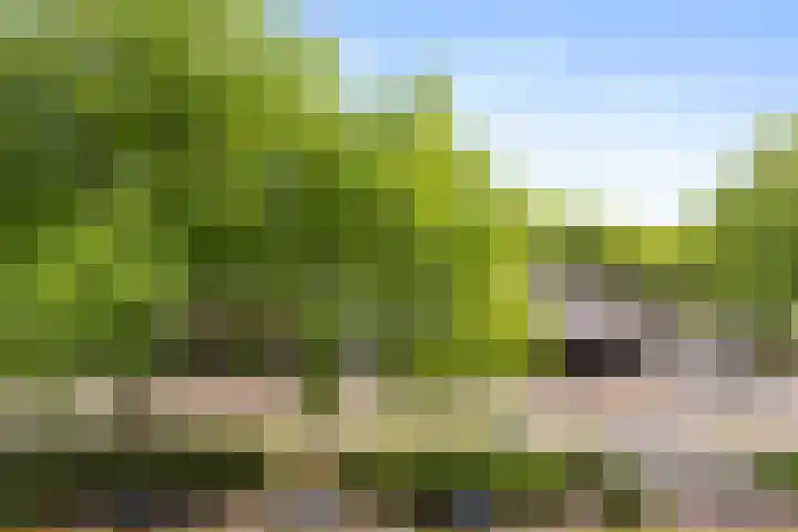 Korianderstraat 18 Apeldoorn thumbnail 6