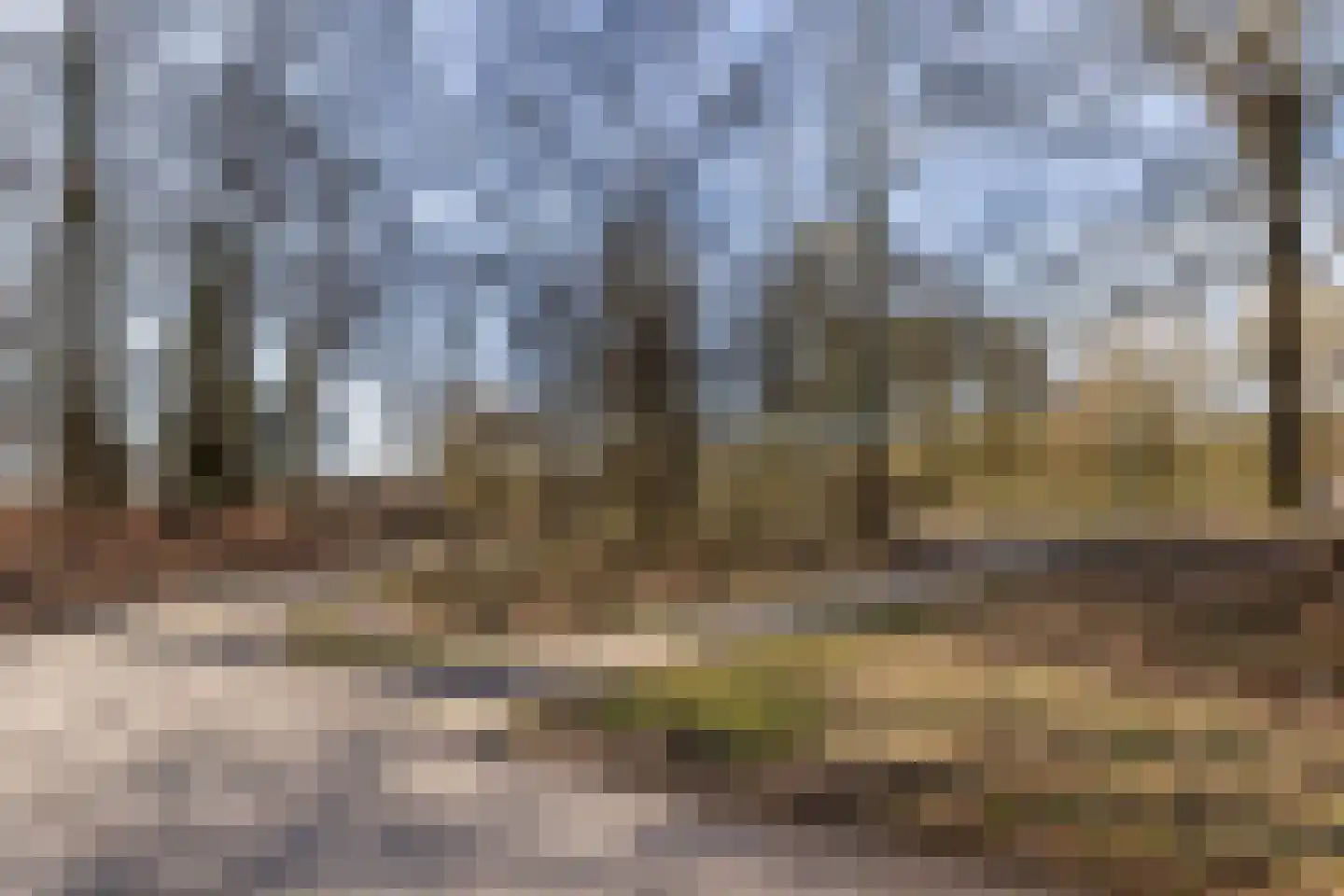 Korianderstraat 4 Apeldoorn thumbnail 27