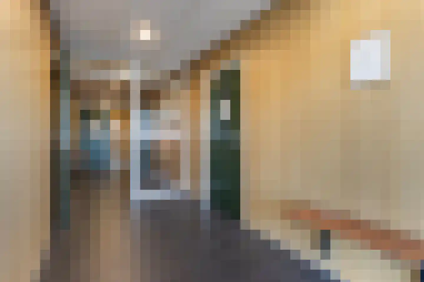 Korianderstraat 4 Apeldoorn thumbnail 4