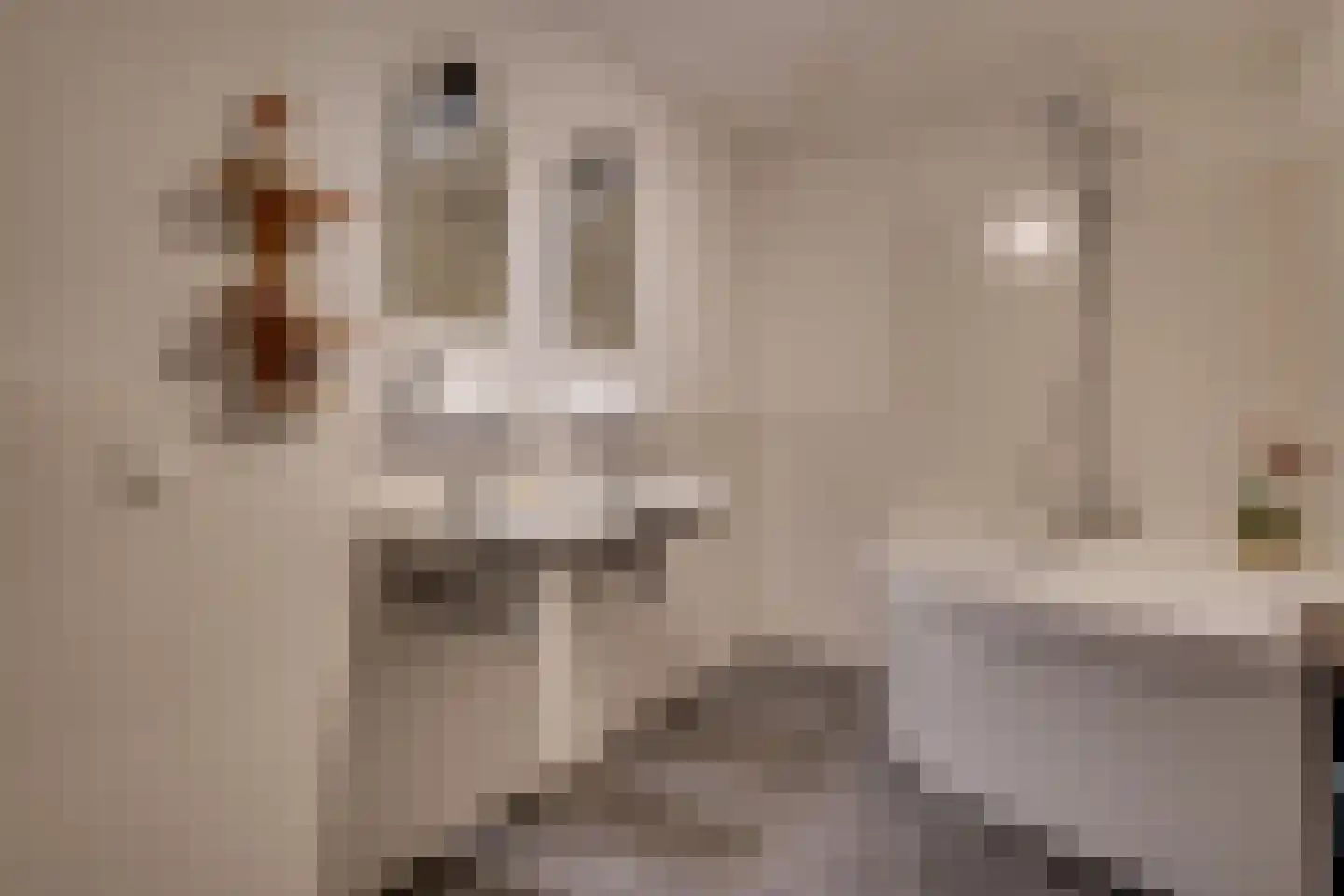 Korianderstraat 40 A Eindhoven thumbnail 20