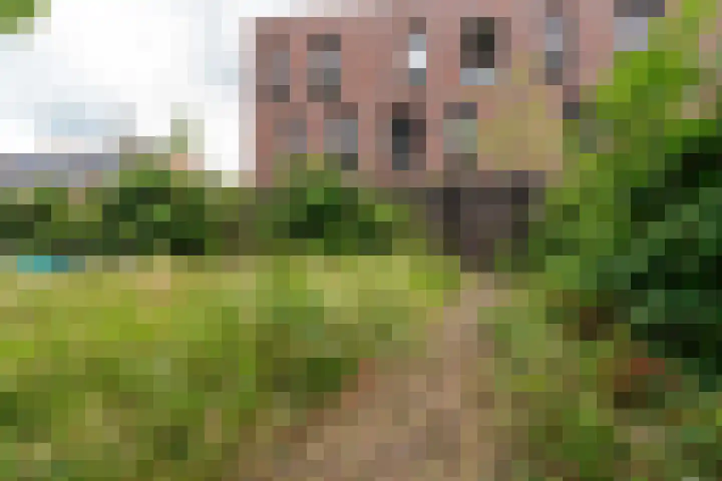 Korianderstraat 40 A Eindhoven thumbnail 27