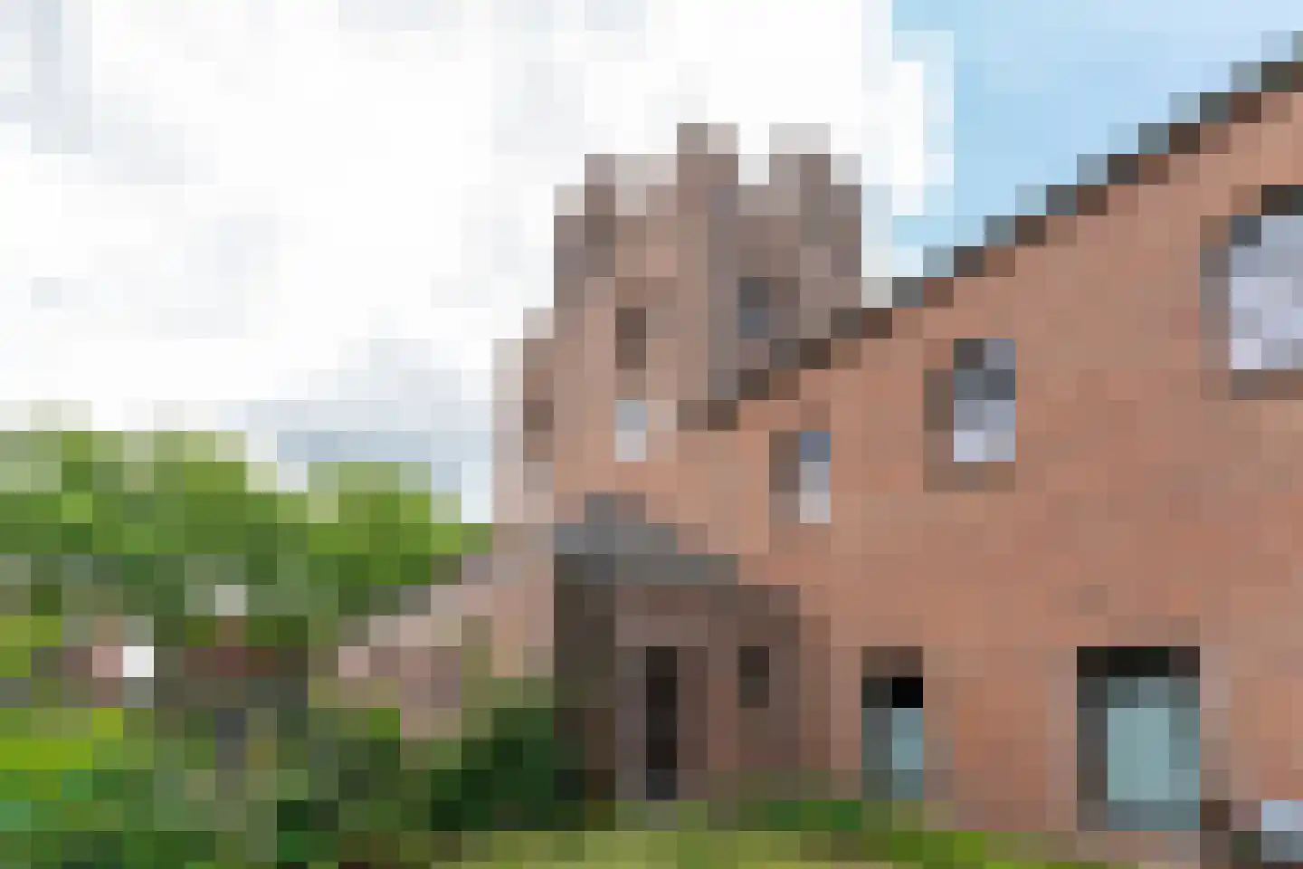 Korianderstraat 40 A Eindhoven thumbnail 29