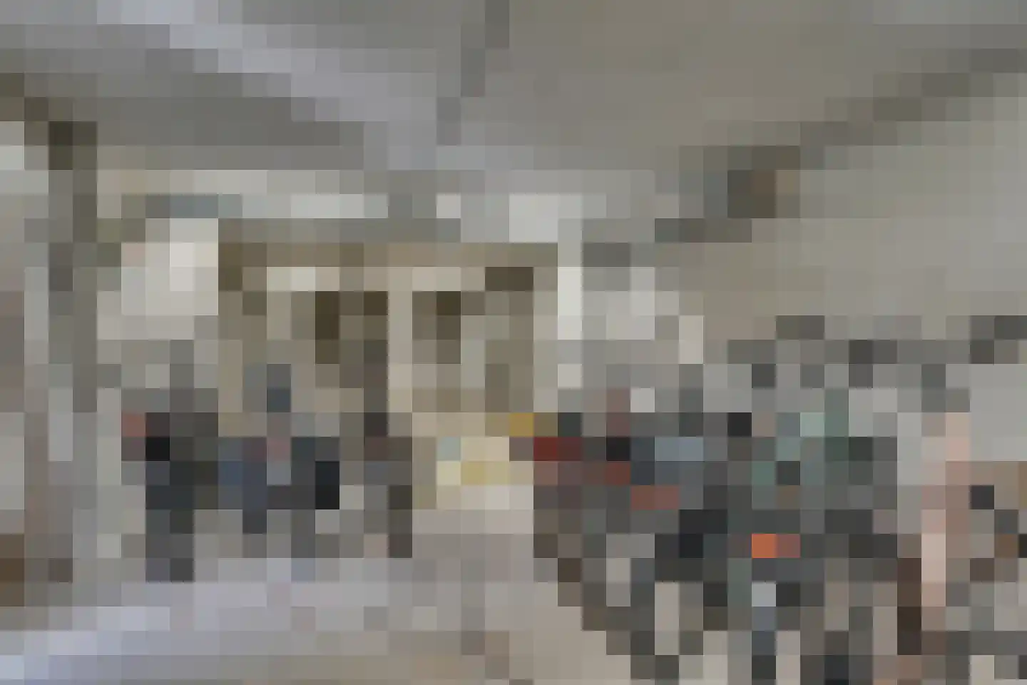 Korianderstraat 40 A Eindhoven thumbnail 30
