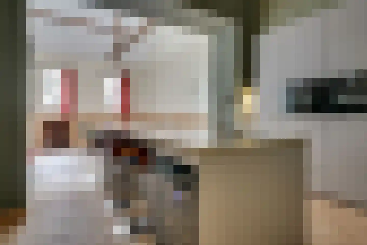 Korianderstraat 40 A Eindhoven thumbnail 7