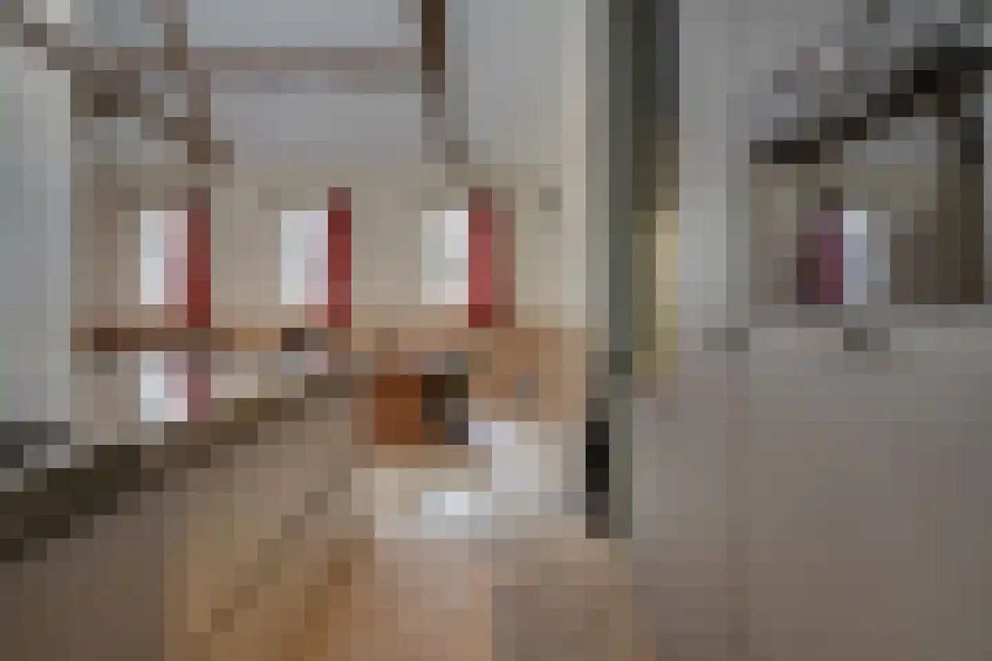 Korianderstraat 40 A Eindhoven thumbnail 8