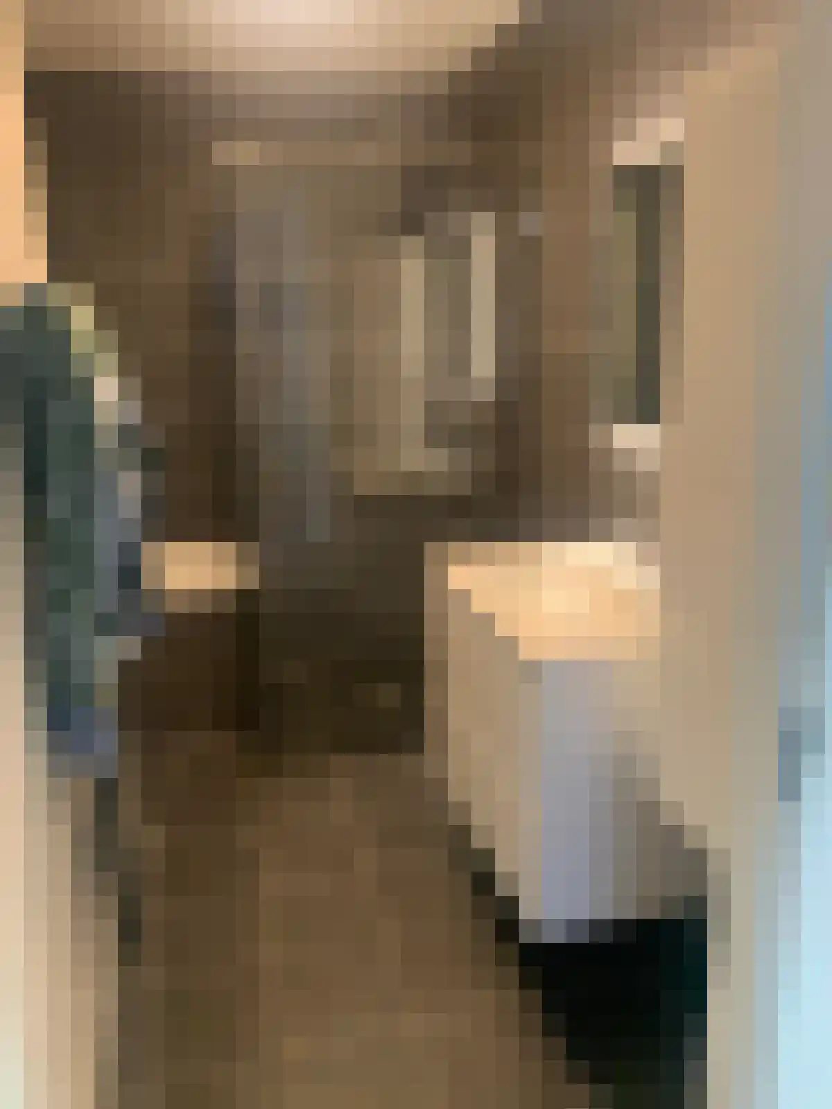 Korianderstraat 44 Eindhoven thumbnail 6