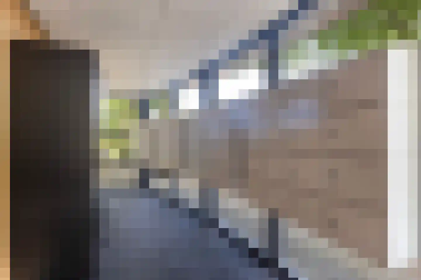 Korianderstraat 46 Apeldoorn thumbnail 28