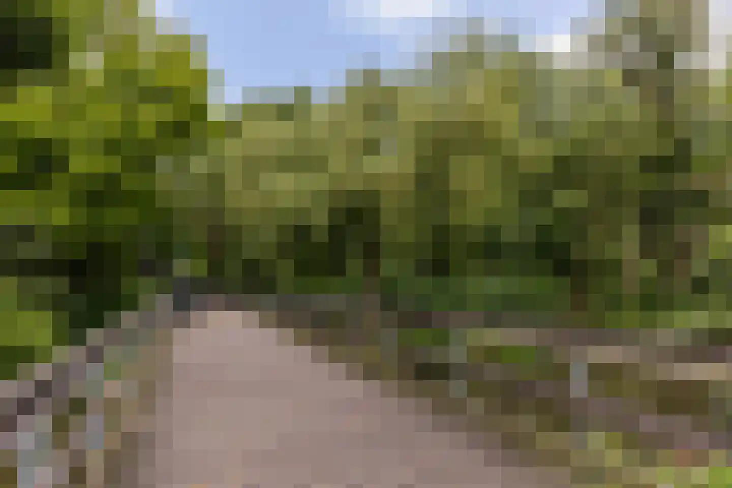 Korianderstraat 46 Apeldoorn thumbnail 32