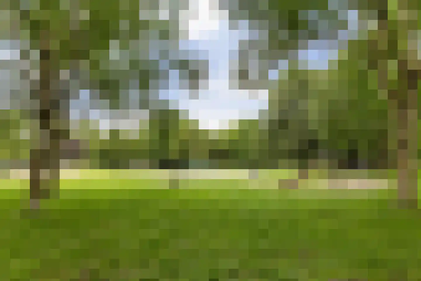 Korianderstraat 46 Apeldoorn thumbnail 34