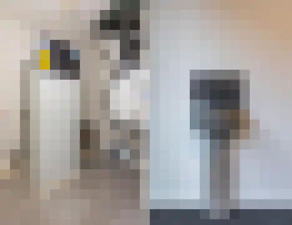 Korianderstraat 48 Eindhoven thumbnail 6