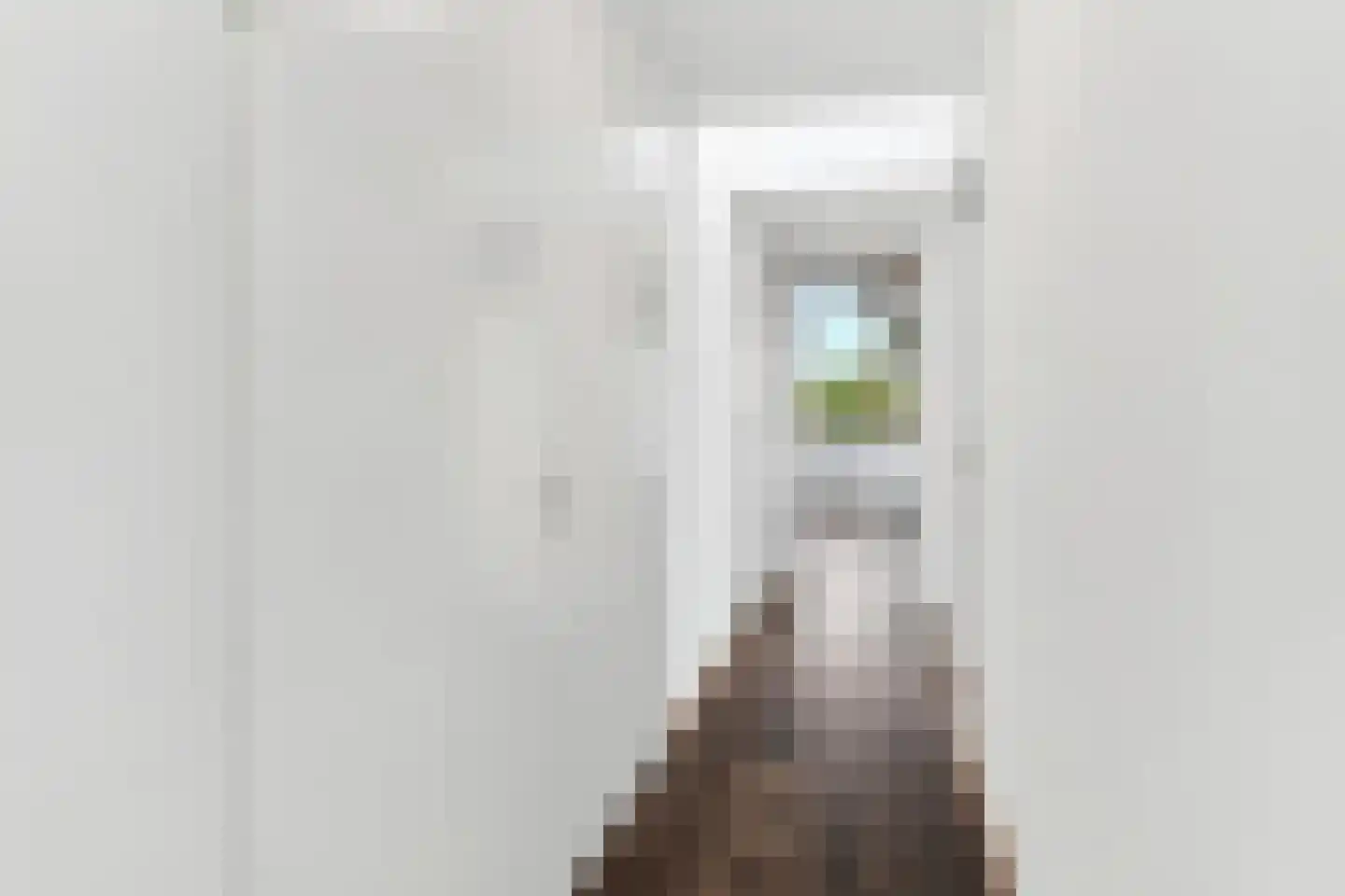 Korianderstraat 52 Eindhoven thumbnail 14