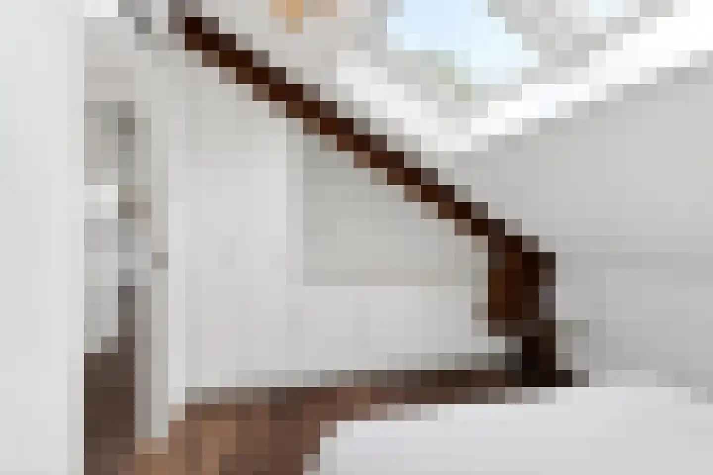 Korianderstraat 52 Eindhoven thumbnail 17